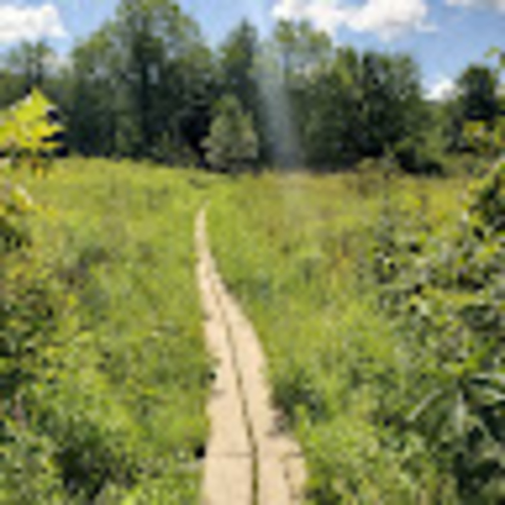 Meet your Posher, Gwl127